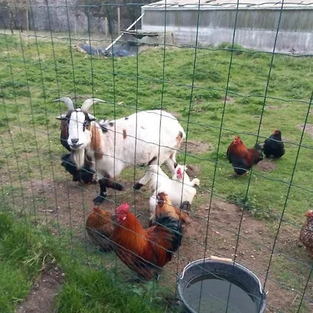 Domaine Les Tourelles 4 * Caffiers