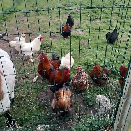 Domaine Les Tourelles 4 Caffiers