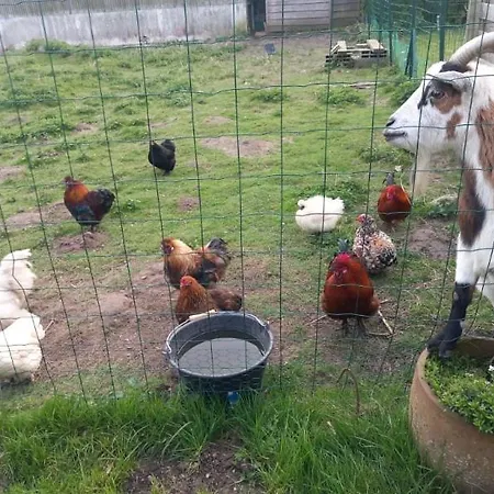 Apartamento Domaine Les Tourelles 4