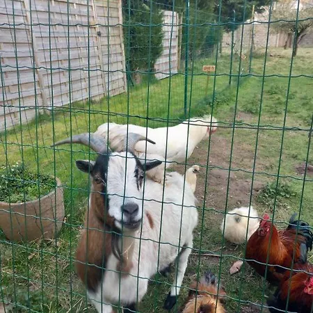 Apartamento Domaine Les Tourelles 4 Caffiers